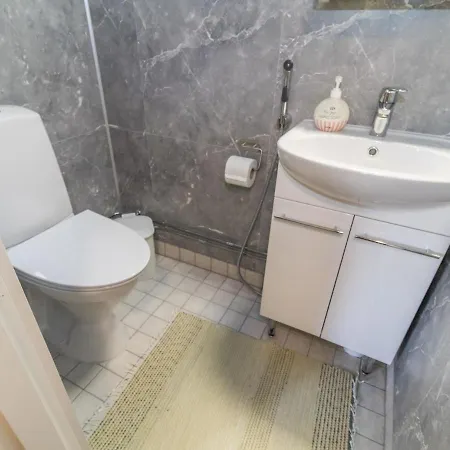 Teerenpesue D 29 By Interhome